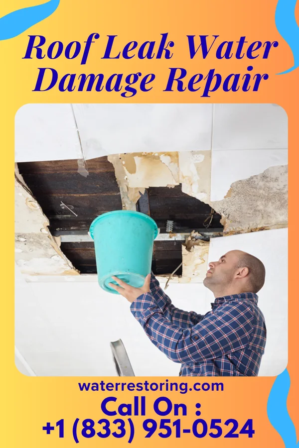 Roof Leak Water Damage Repair in Scio, OR
